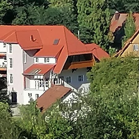 Huberhof Pfaffenbach Villa Gengenbach Buitenkant foto