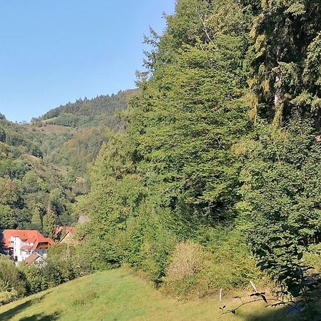 Huberhof Pfaffenbach Villa Gengenbach Buitenkant foto