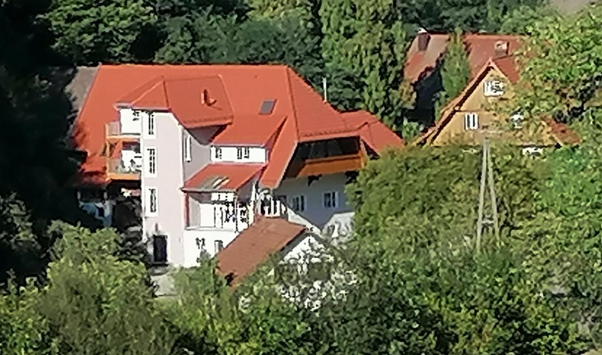 Huberhof Pfaffenbach Villa Gengenbach Buitenkant foto