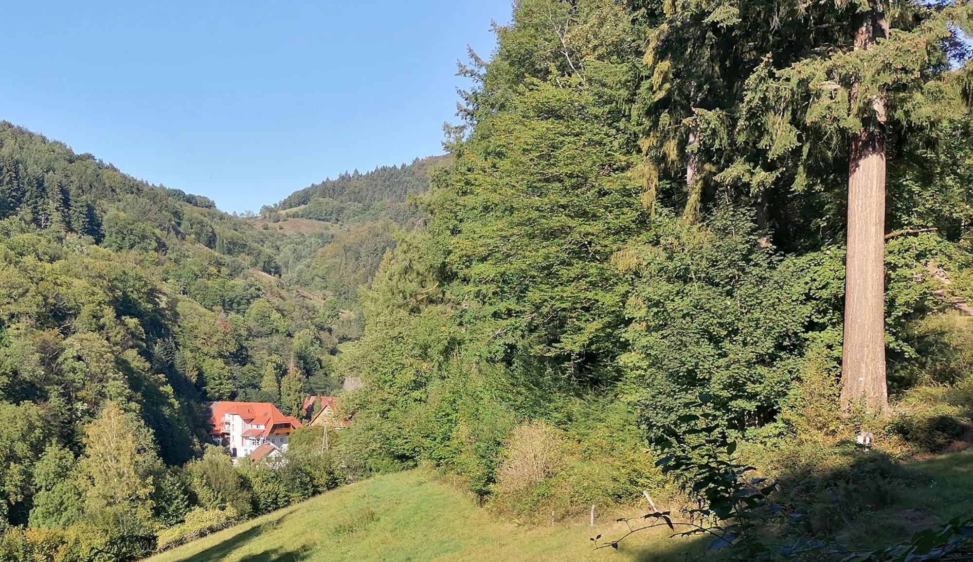 Huberhof Pfaffenbach Villa Gengenbach Buitenkant foto