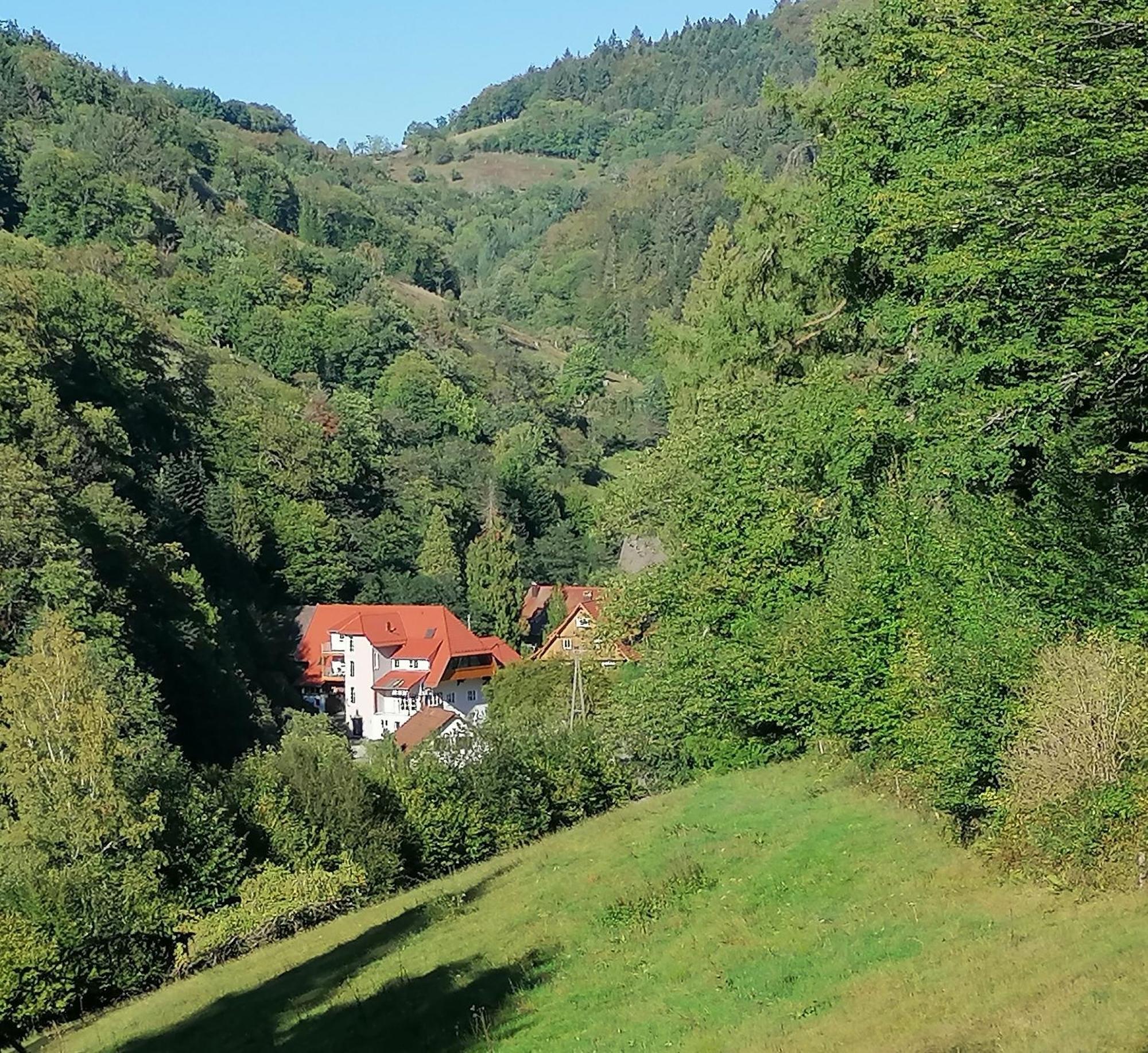 Huberhof Pfaffenbach Villa Gengenbach Buitenkant foto